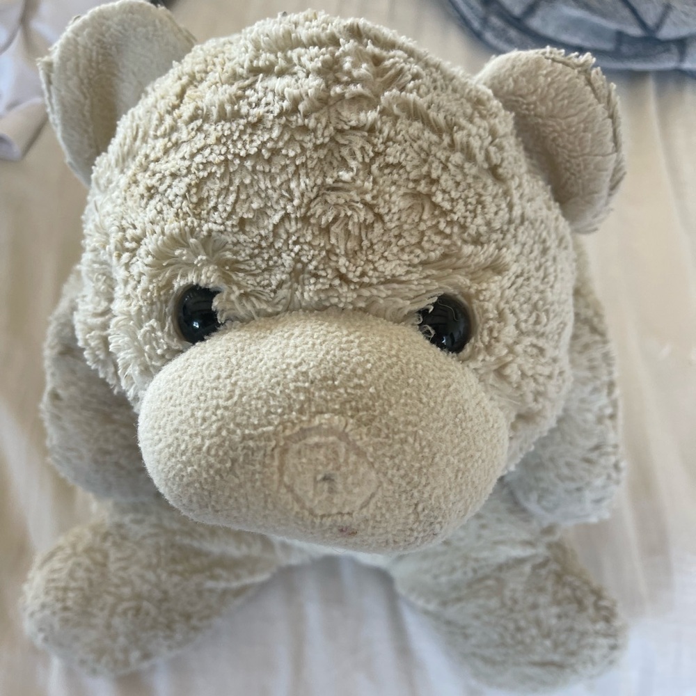 Gund stuffed Bear